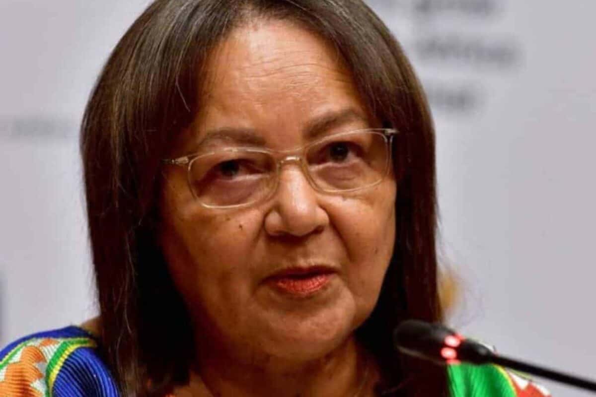 De Lille damage SA Tourism board