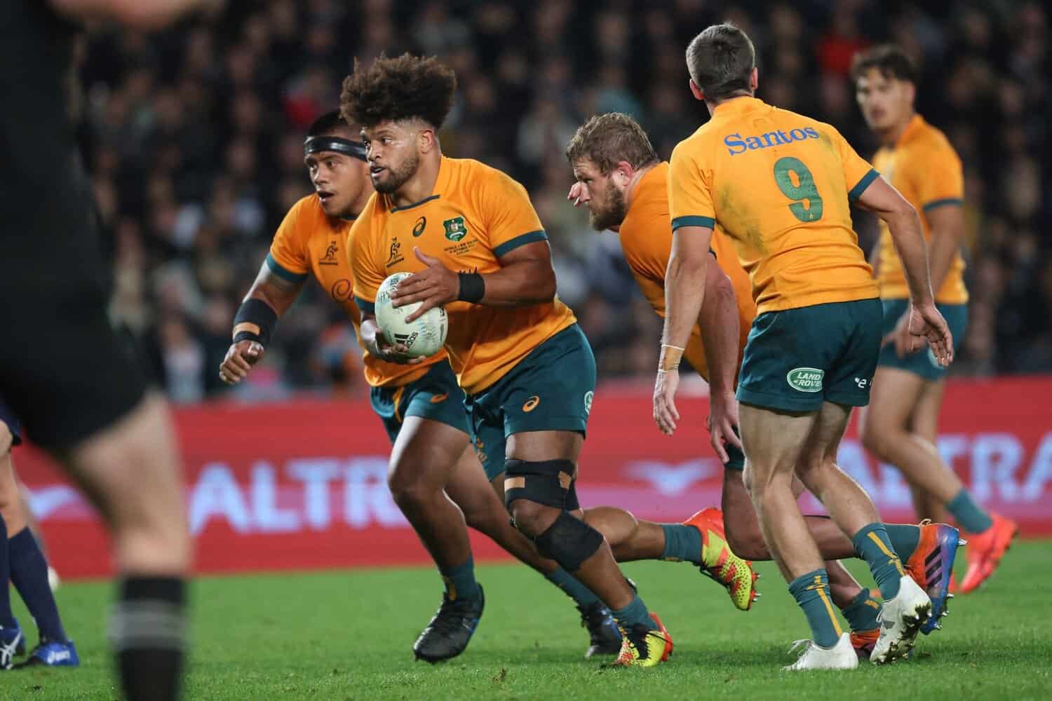 Wallabies loose forward Rob Valentini