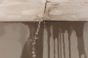 Roof leaks, sunburns and neighbours’ secrets