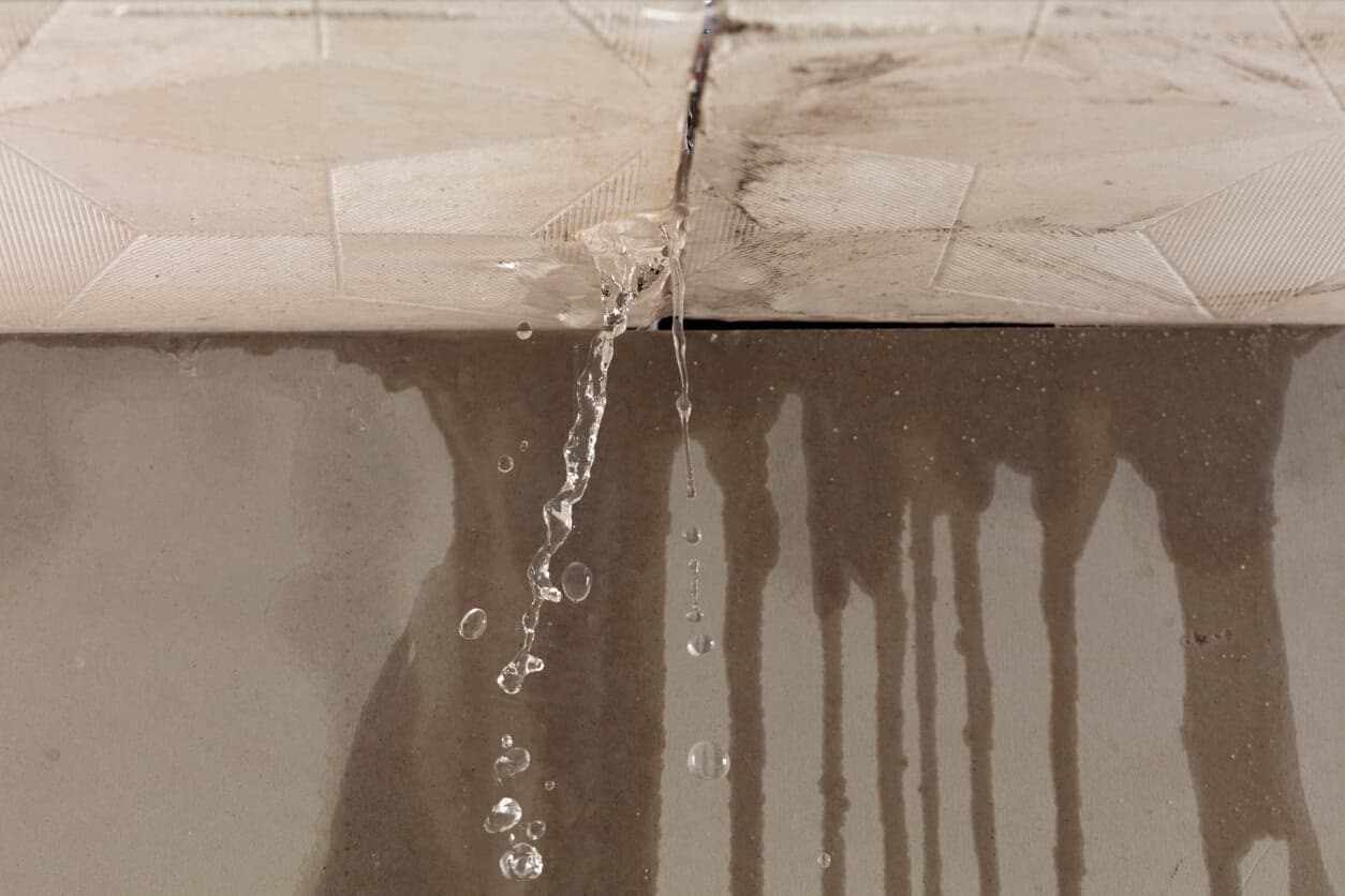 Roof leaks, sunburns and neighbours’ secrets