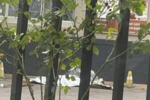 Bath Avenue in Rosebank nail salon shooting