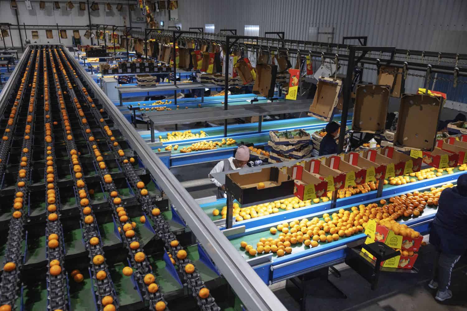 US tariffs Trump farming South Africa