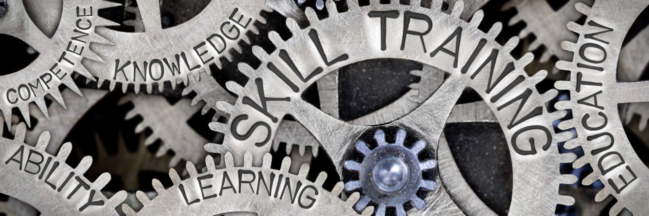 SETA skills training