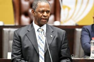 'SA does not have unlimited resources' - Parly told 'certain acts' on immigration must be repealed