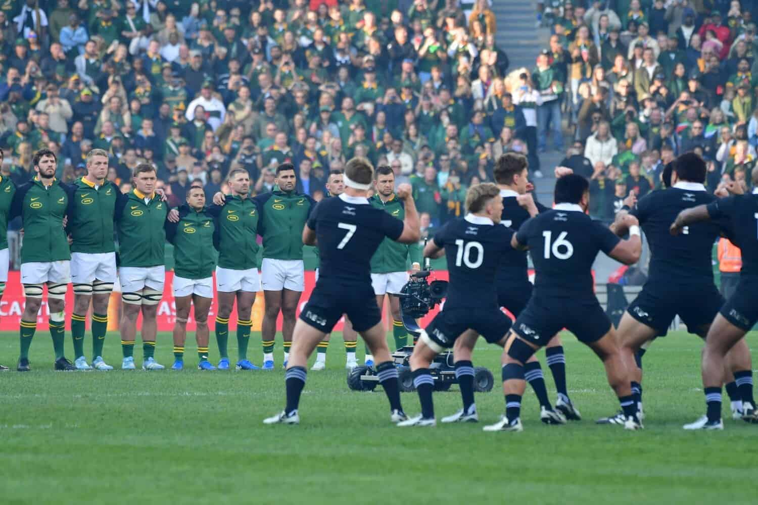 Springboks and All Blacks players