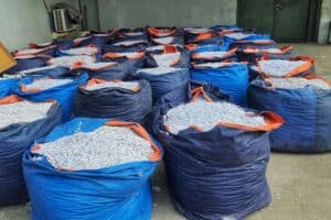 Steel exports