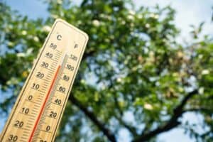 Saws warns of Rain in two provinces, scorching weather in most parts
