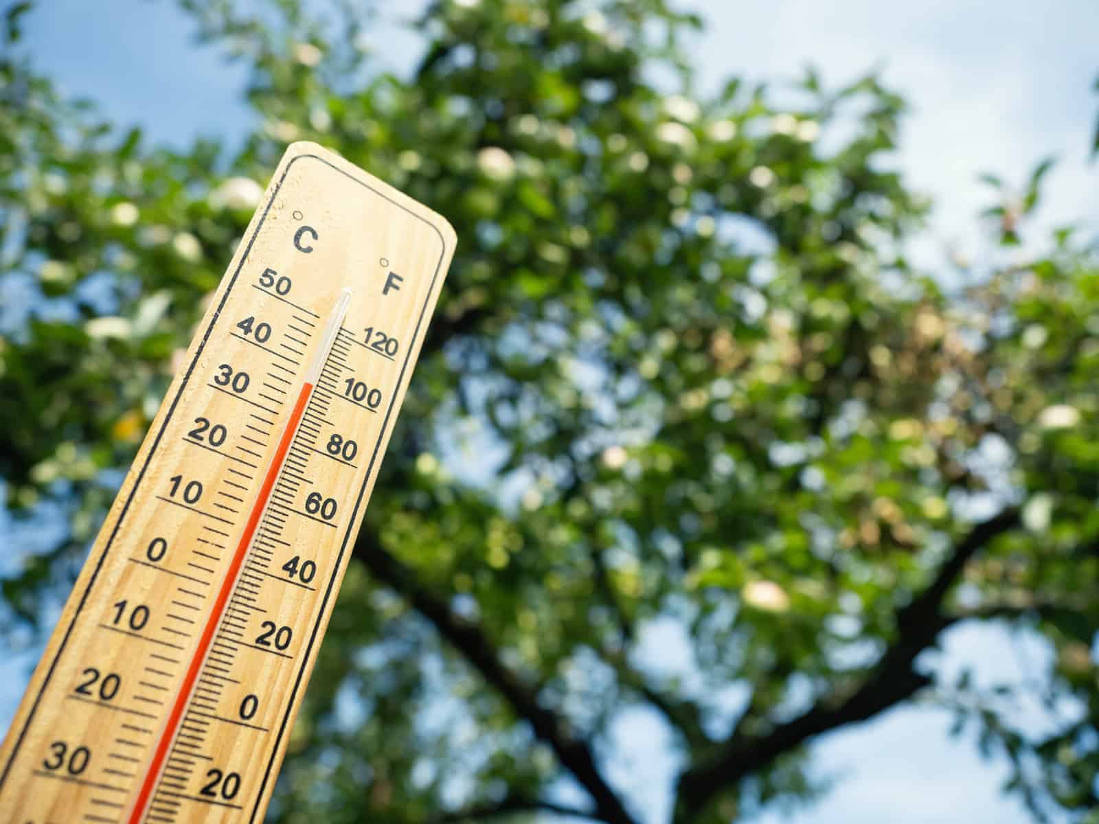 Saws warns of Rain in two provinces, scorching weather in most parts