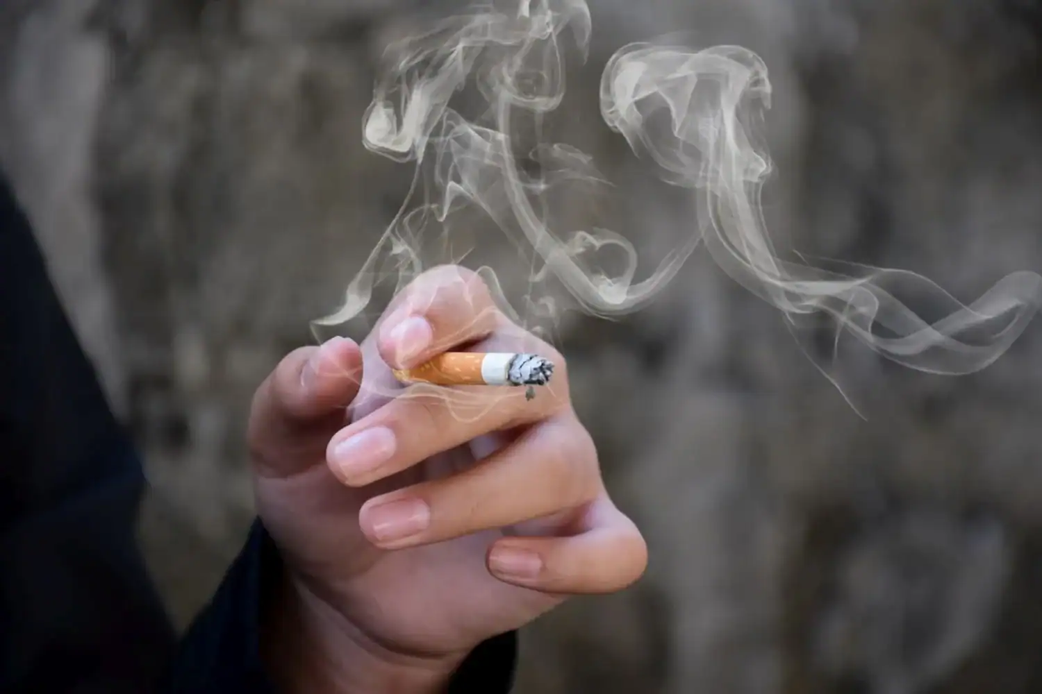 Opponents of tobacco bill ask portfolio committee to review clauses on packaging.