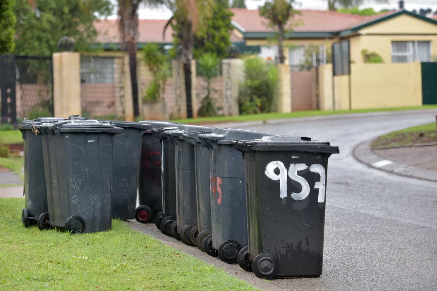 ANC DA City of Tshwane cleaning levy