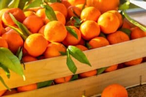 Us tariffs and agricultural exports