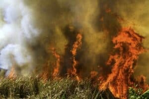 Gauteng residents warned about fire alert, public urged not to start blazes