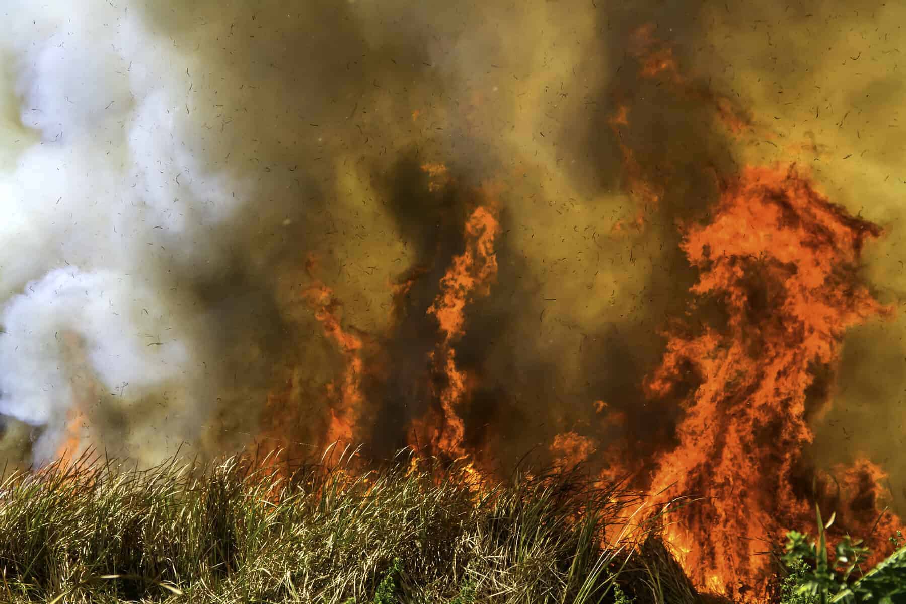 Gauteng residents warned about fire alert, public urged not to start blazes