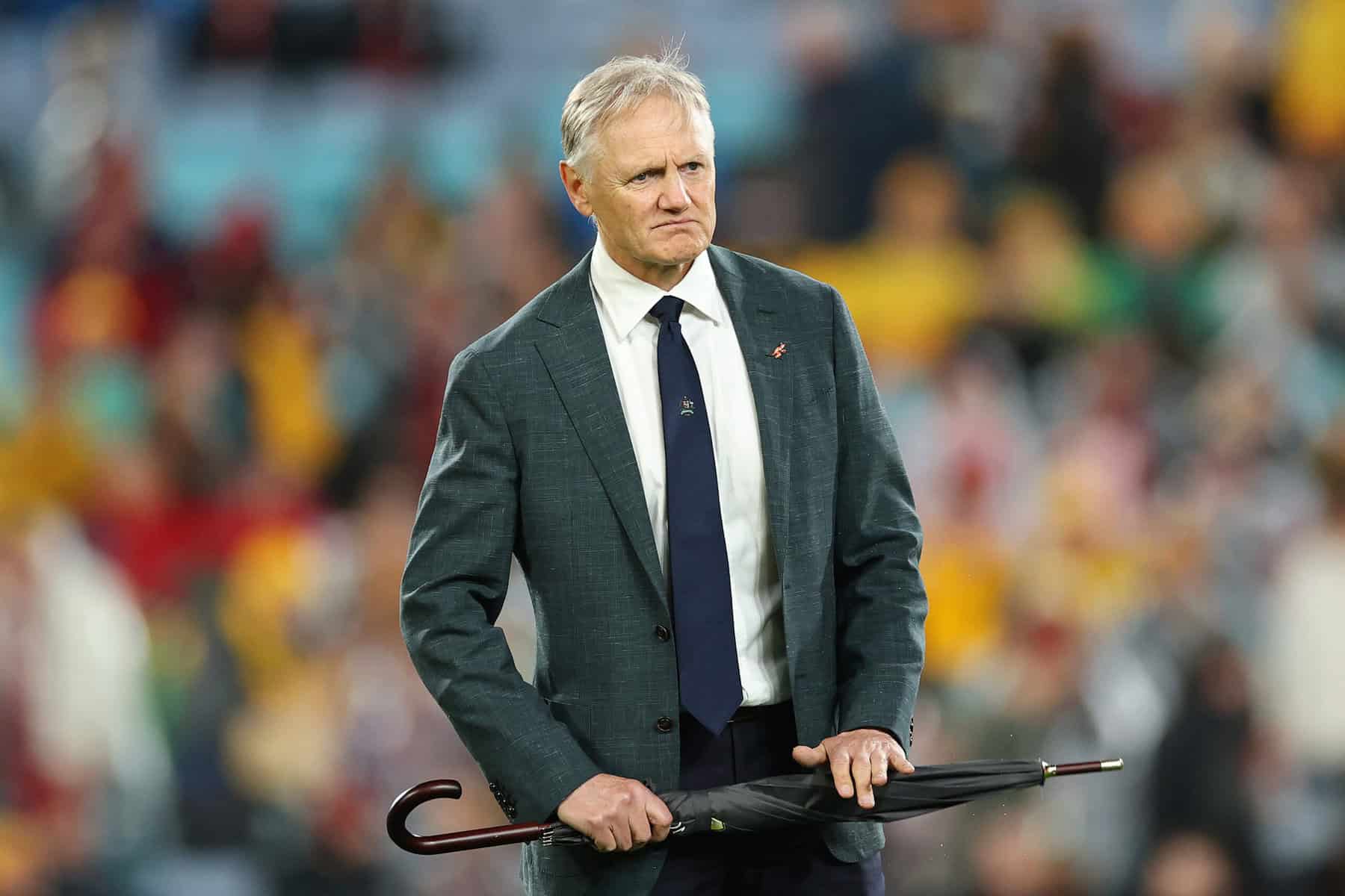 Joe Schmidt Wallabies
