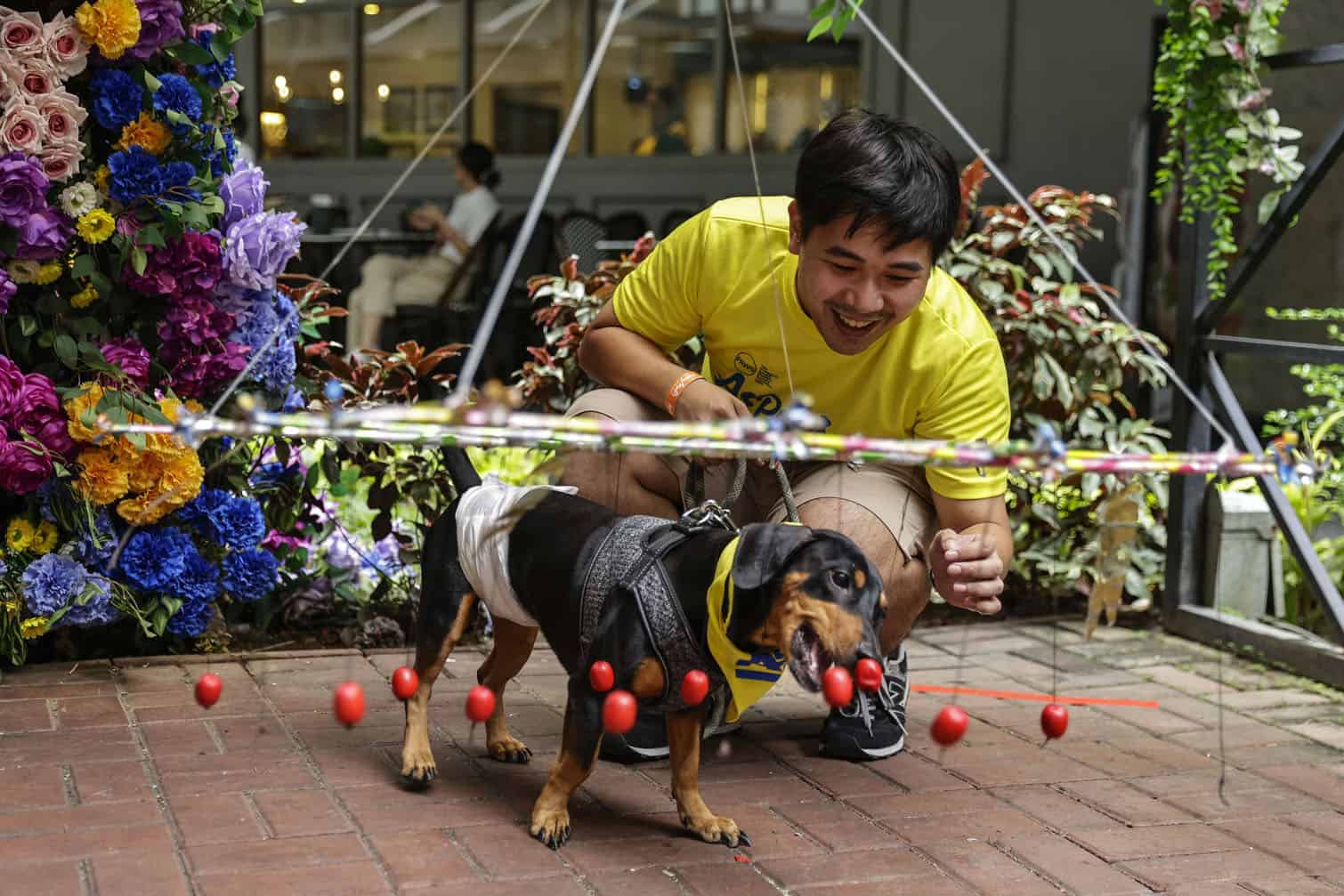 Animal welfare advocates hold Aspin Games