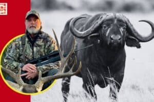 The man was killed by a Cape buffalo