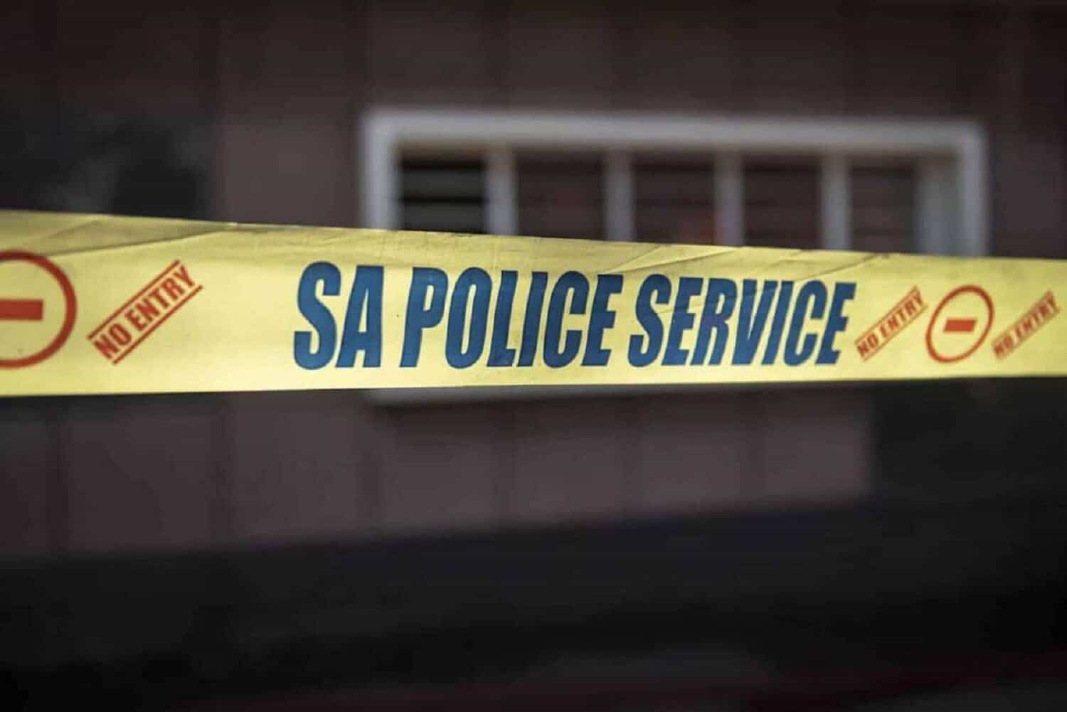 StatsSA crime victims survey