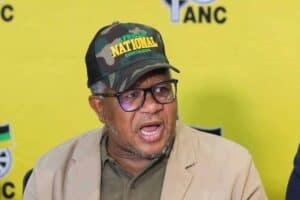 Mbalula launches urgent court bid against Anele Mda over Bozwana murder posts