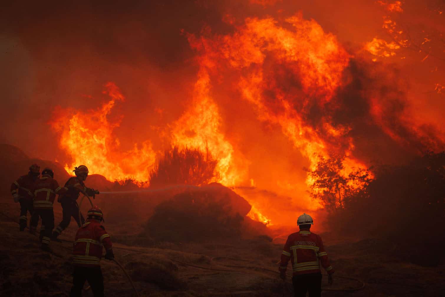 Forrest fire in the municipality of Vila Real