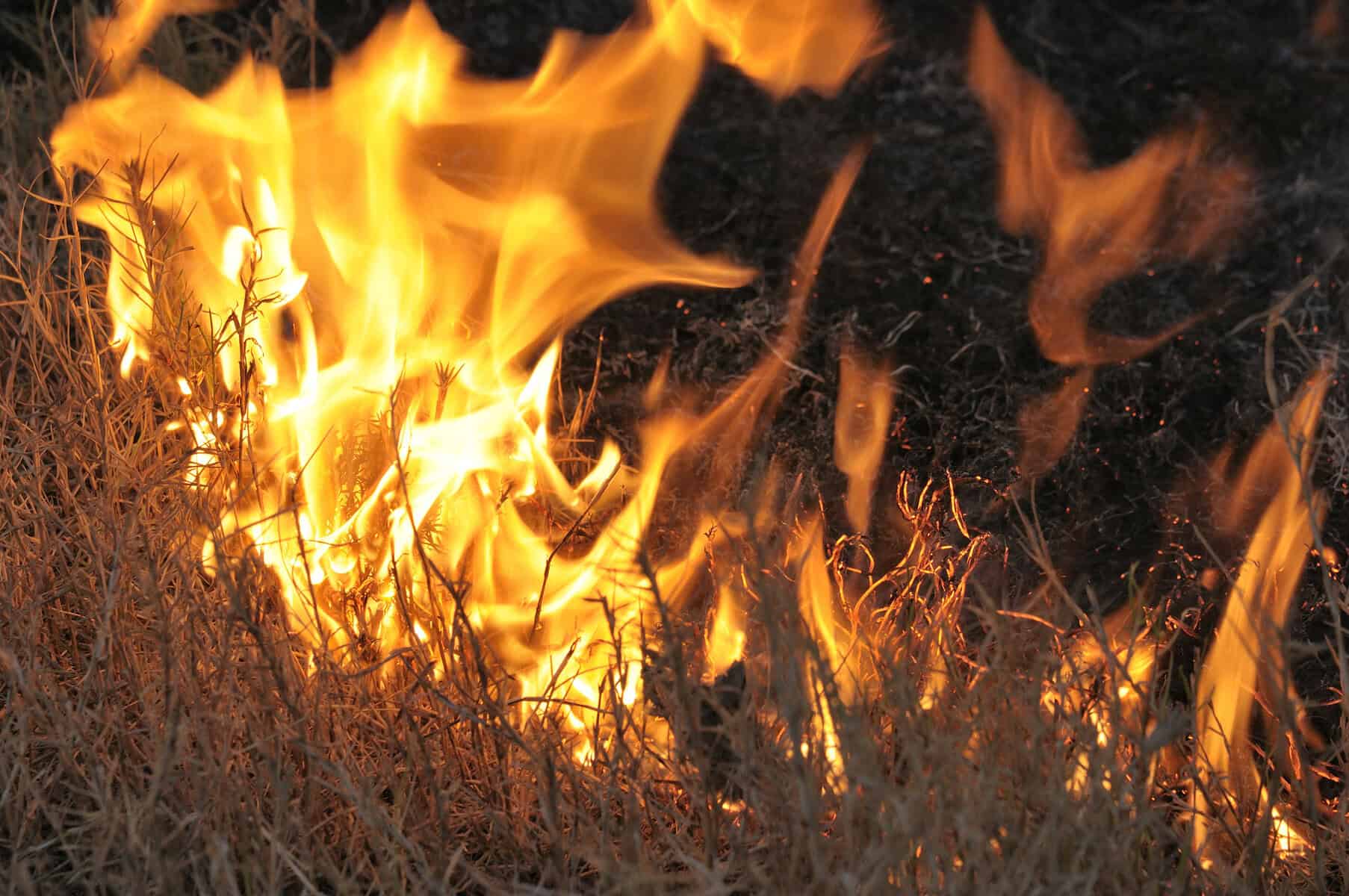 Red fire warning issued as Tshwane battles tyre factory blaze
