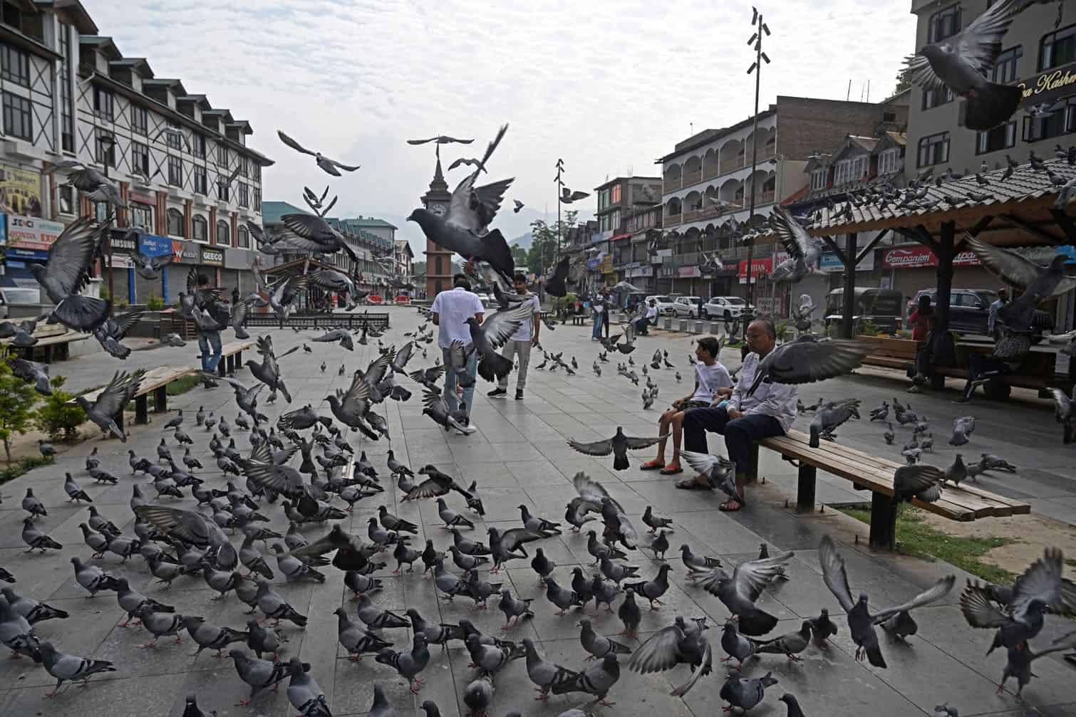 Tourists sit amidst pigeons