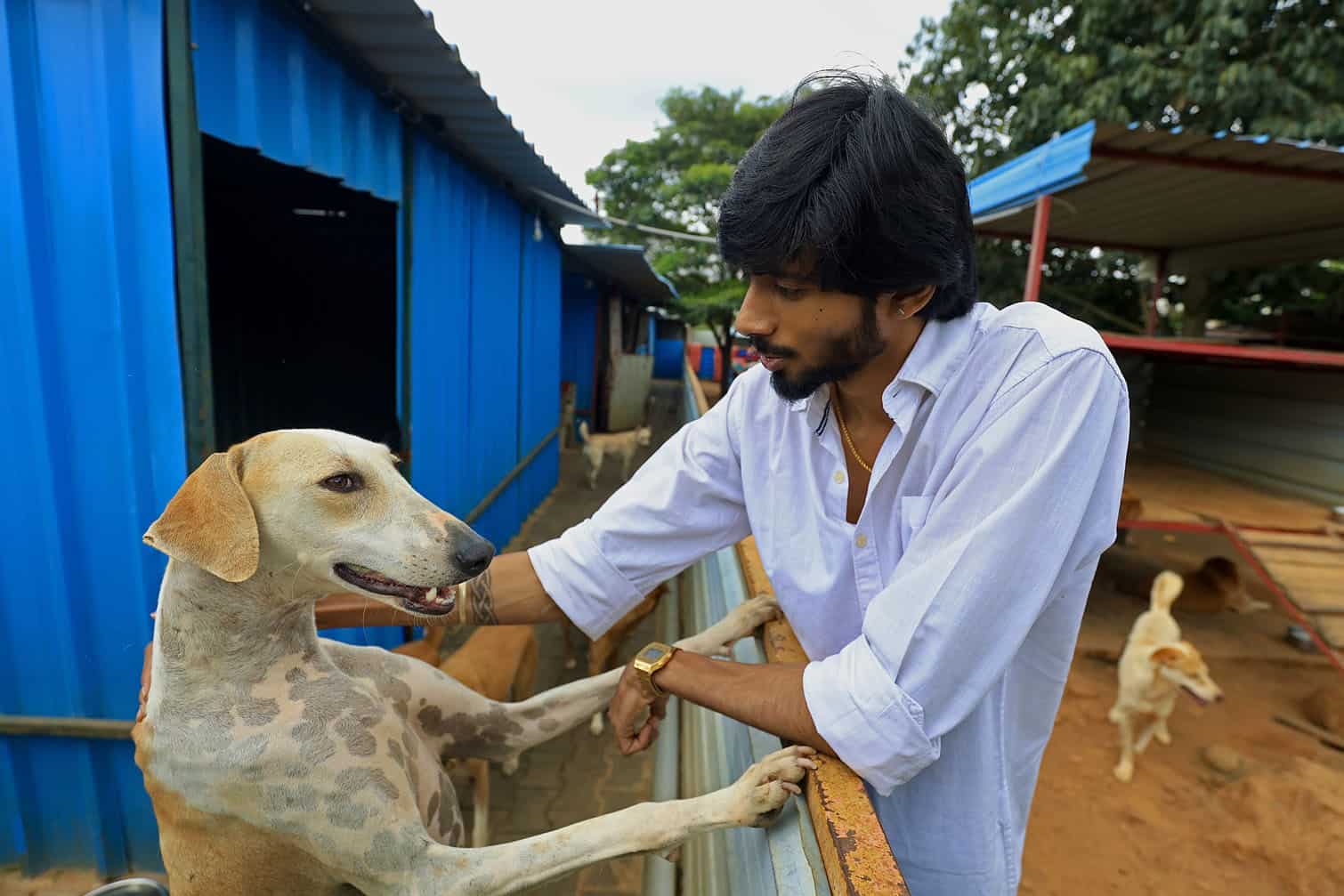 International Dog Day in Bangalore