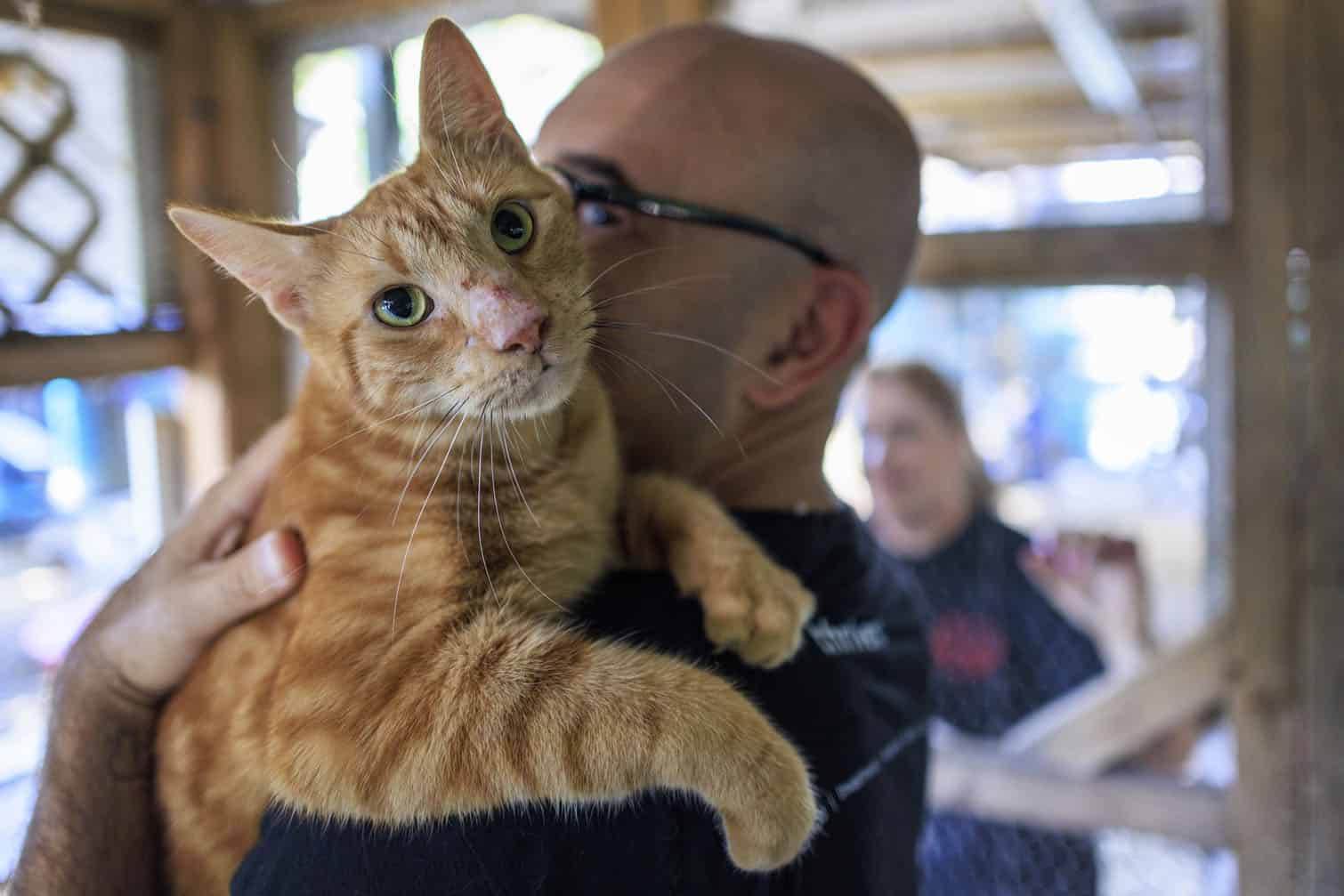 Animal NGO rescues homeless pets after owners deported from the US