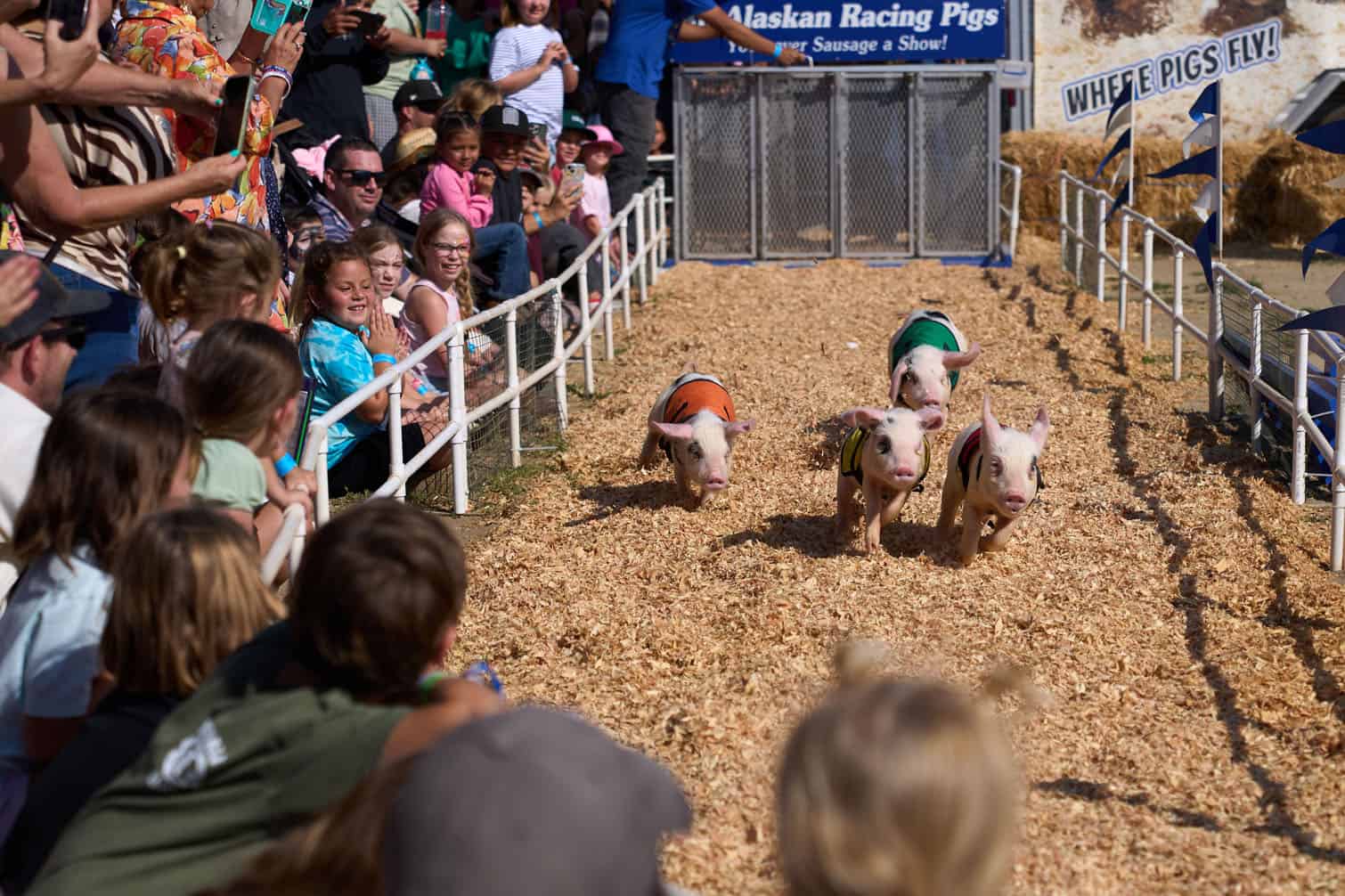 Ventura County Fair