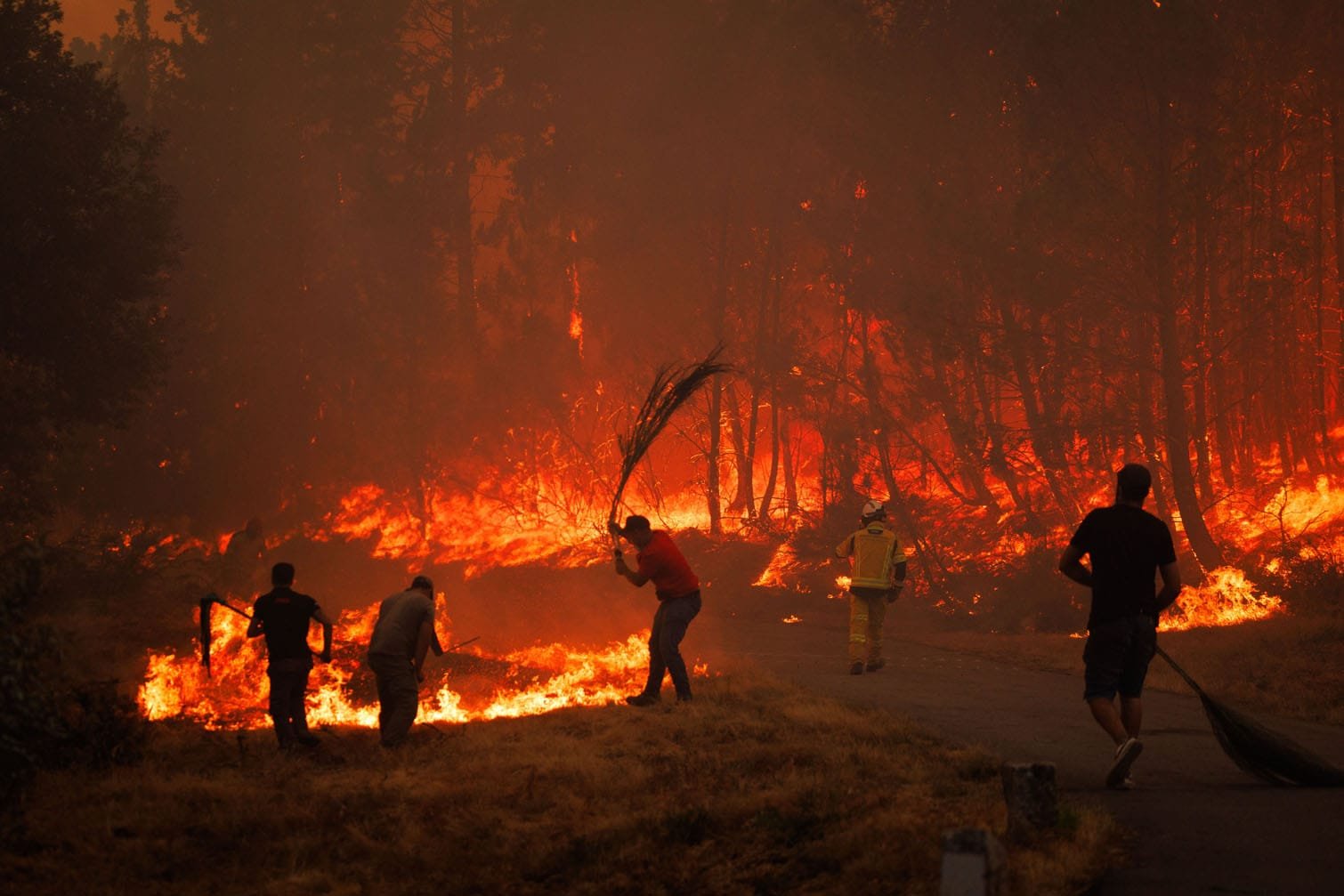 Firefighters battle a forest fire in Vila Real