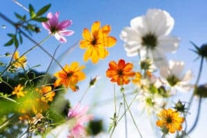 Gauteng weekend weather