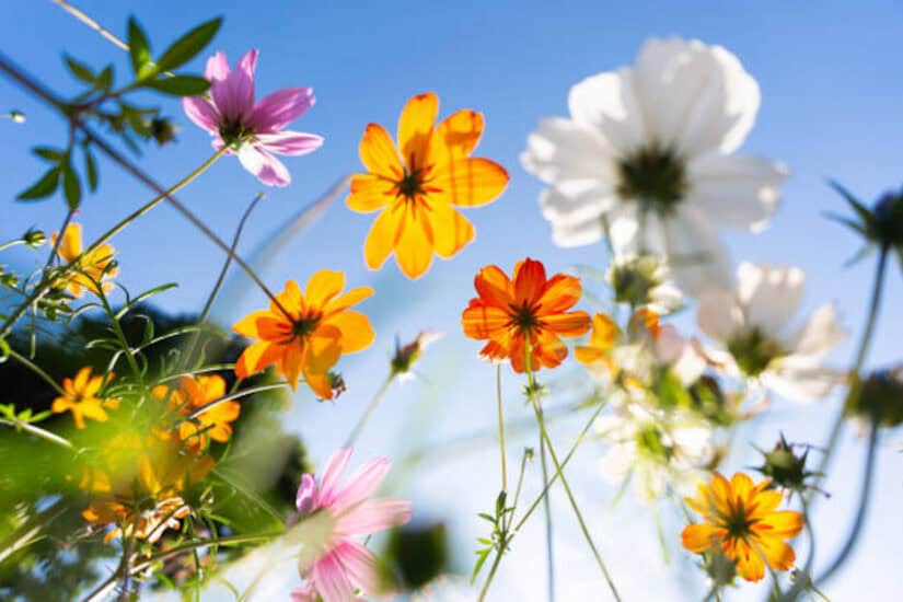 Gauteng weekend weather