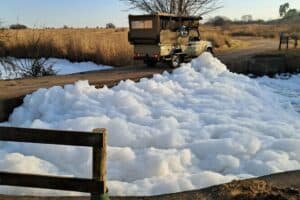 Rietvlei Reserve's streams and water bodies remains at a crossroads,