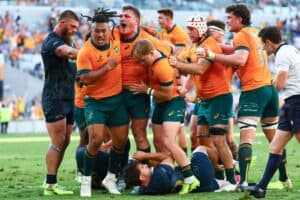 Wallabies