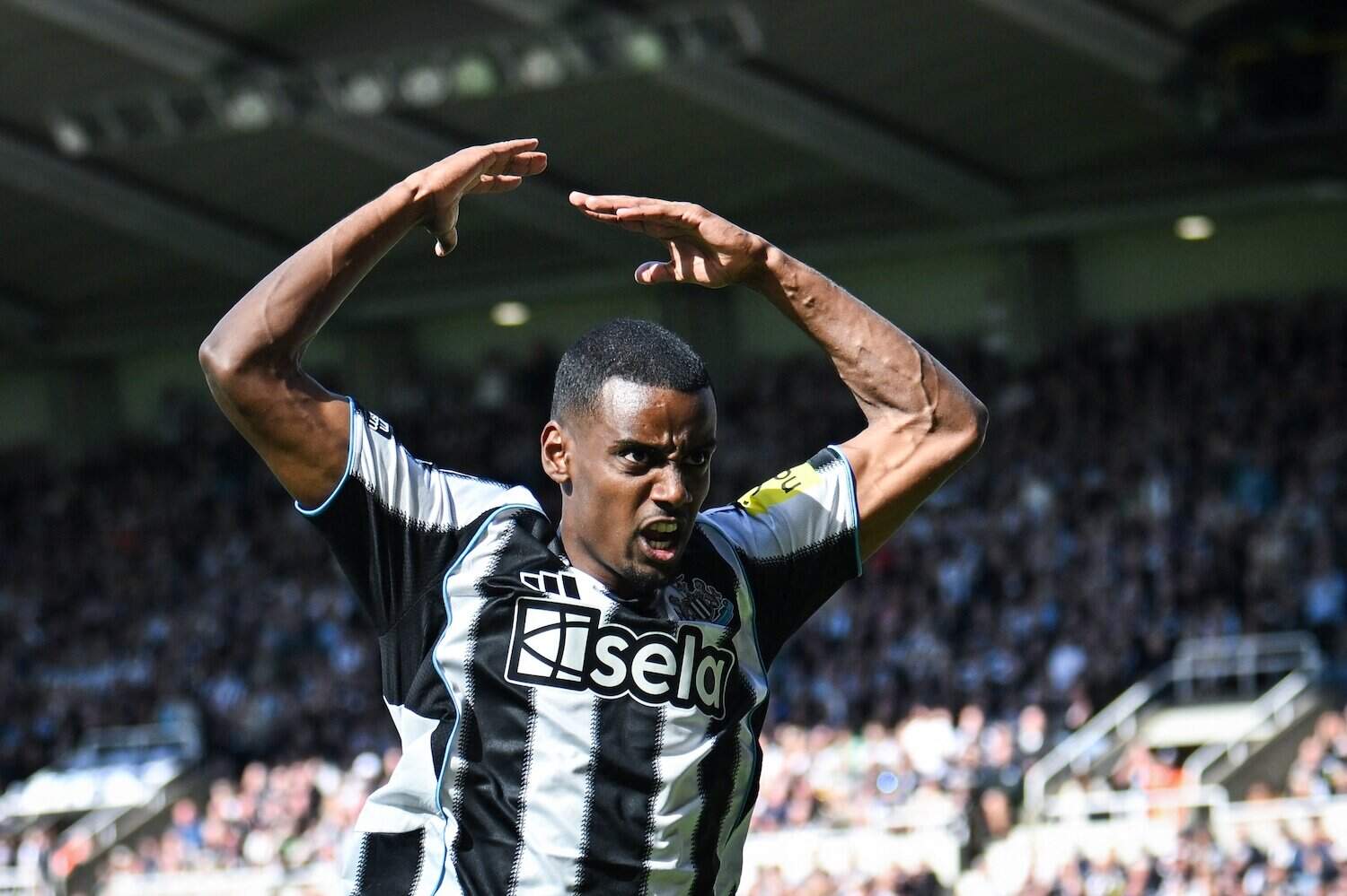Alexander Isak - Newcastle