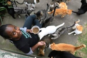 Help keep animal shelter open