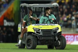 Springbok fullback Aphelele Fassi injury