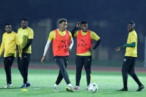 Sundowns ready to loan out-of-favour Johannes