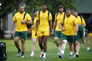 Bok rugby players