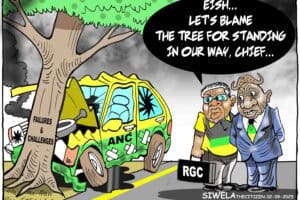 Cartoon of ANC failures and challenges