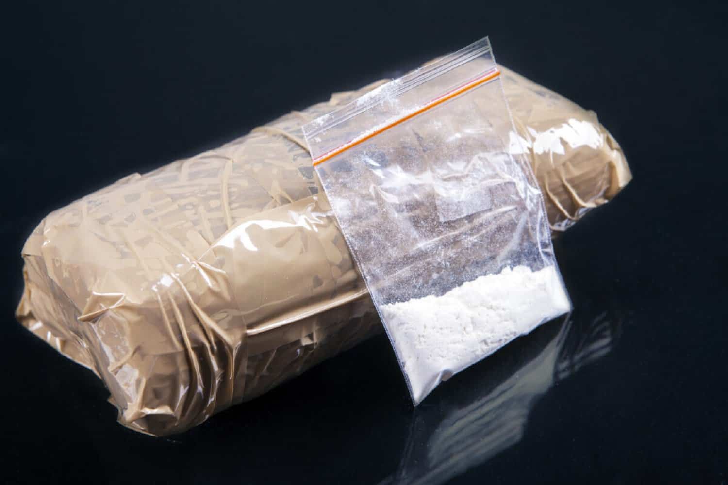 SARS played a key role in the recent cocaine bust in KZN.