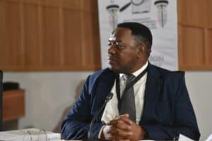 Mchunu's decision to disband task team an 'encroachment' into commissioner's mandate