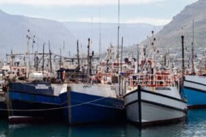 US markets will continue to welcome SA fish and fish products.