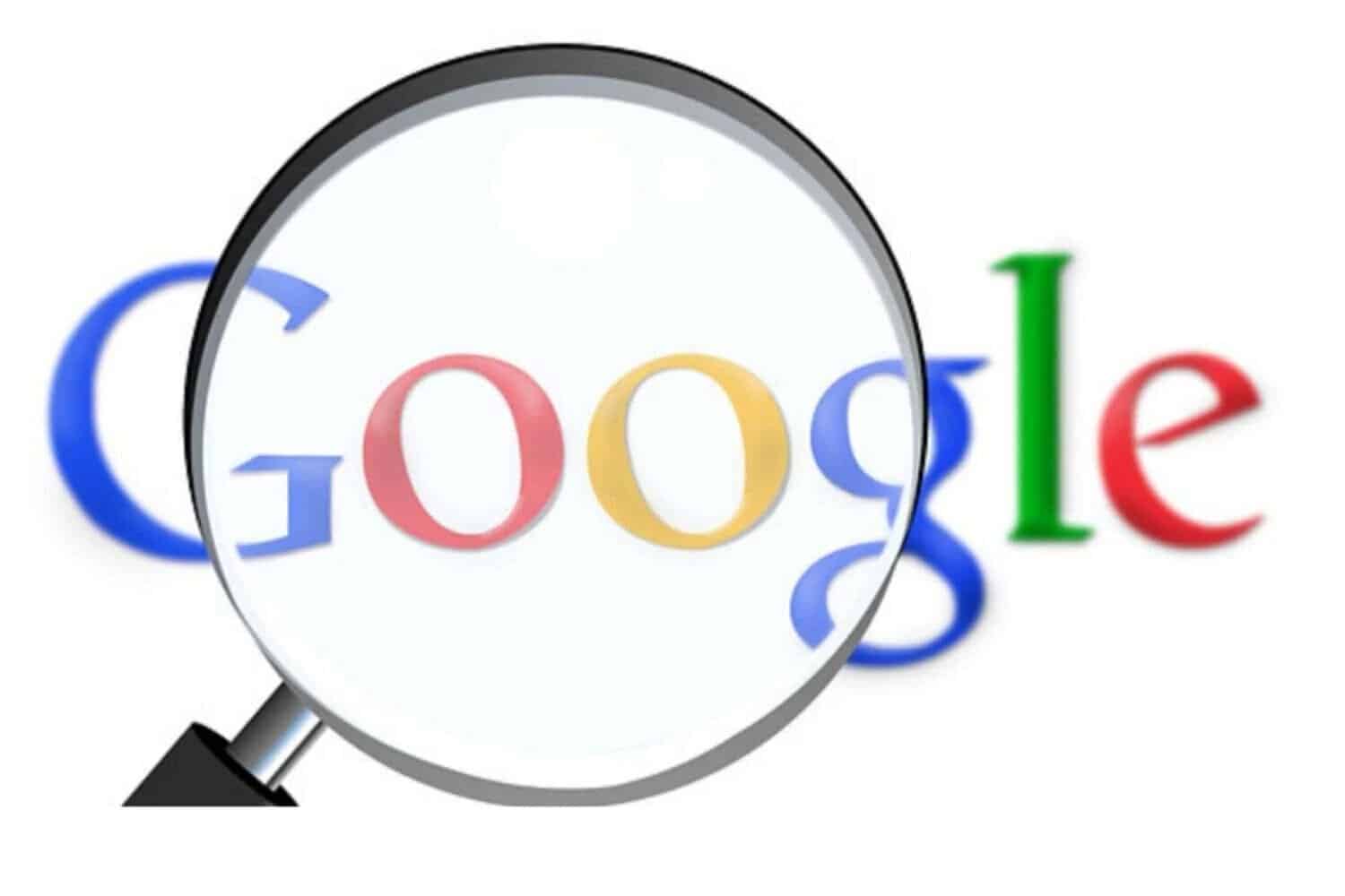 Springboks drive Google's search with SA among top sports nations