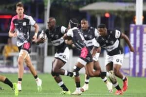 Sharks v Pumas