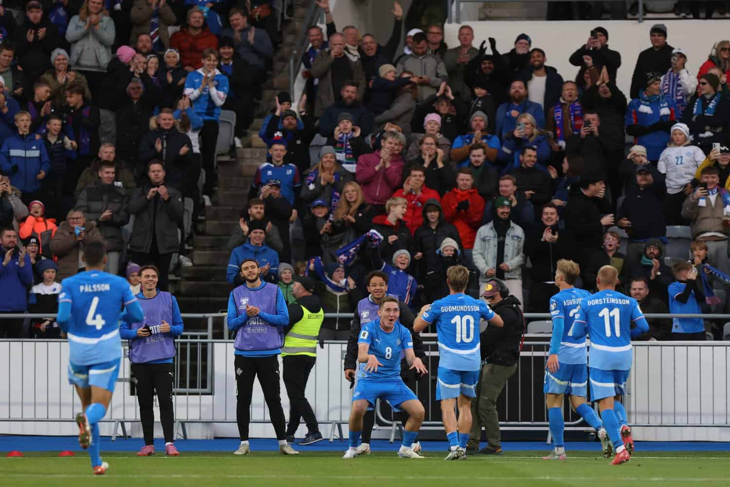 Iceland football players