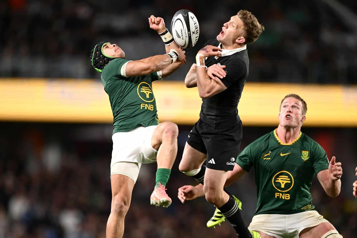Springboks