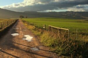 expropriation without compensation
