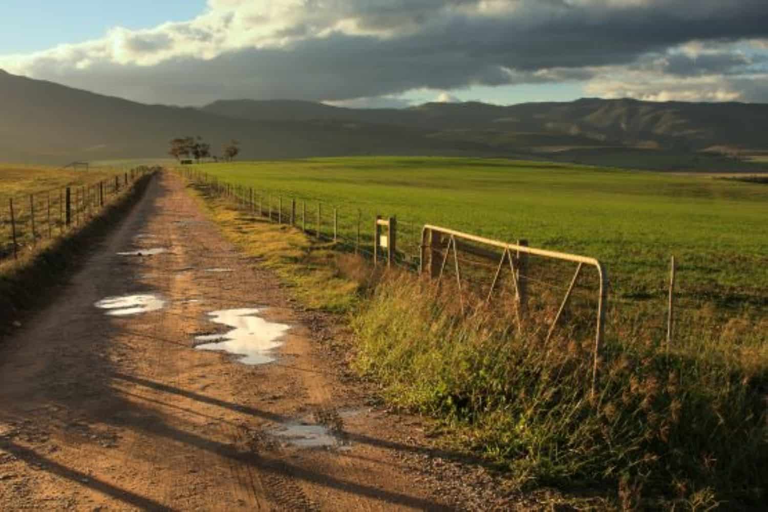 expropriation without compensation