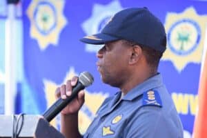 Nhlanhla Mkhwanazi ad hoc committee Madlanga commission