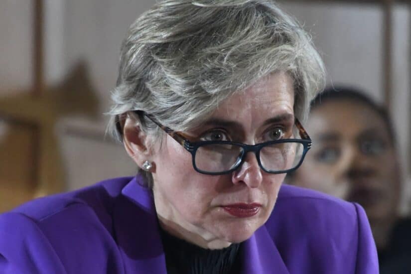 Petronella van Rooyen Madlanga commission Senzo Mchunu